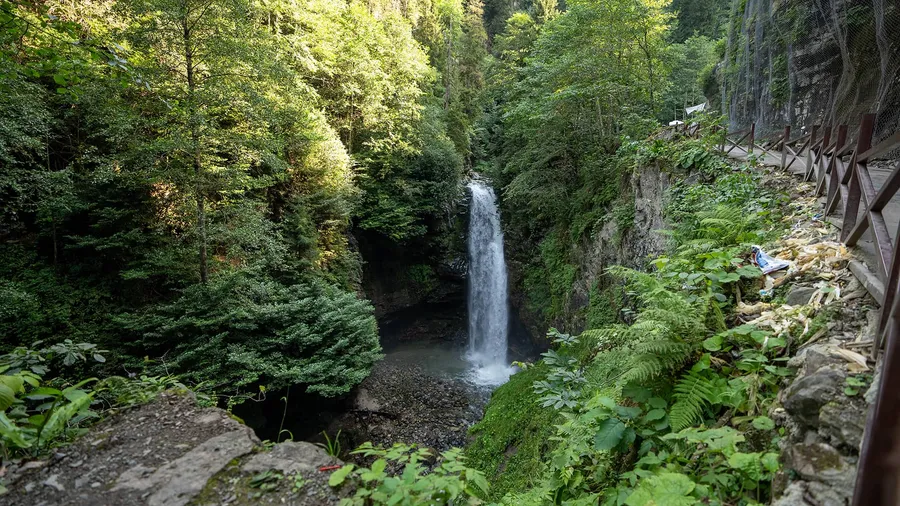 3-Day Botanical Route in the Kaçkar Mountains